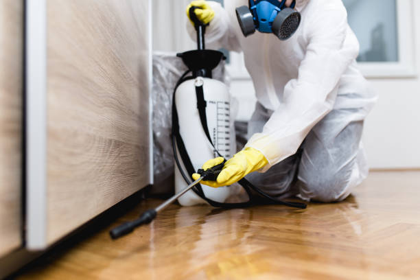 Best Commercial Pest Control Services  in Lago Vista, TX