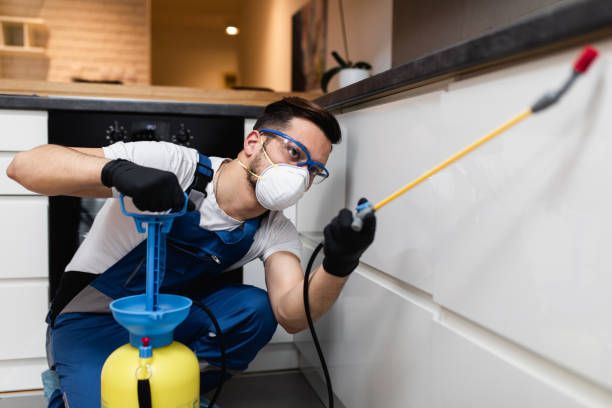 Best Residential Pest Control  in Lago Vista, TX