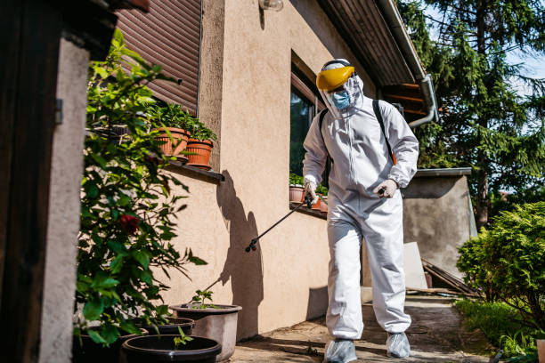 Best Ant Control Services  in Lago Vista, TX