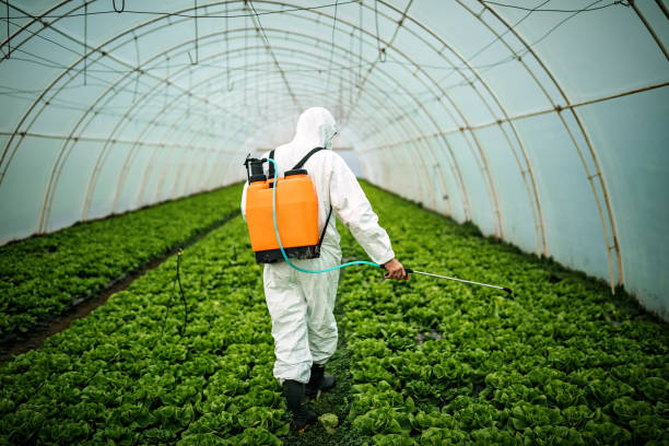Best Mosquito Control Services  in Lago Vista, TX