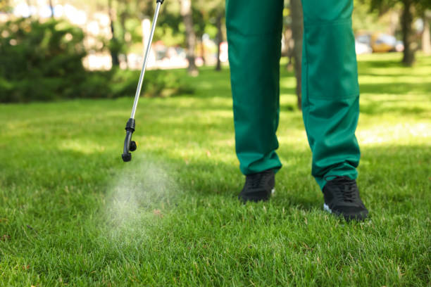Best Exterminator Services  in Lago Vista, TX