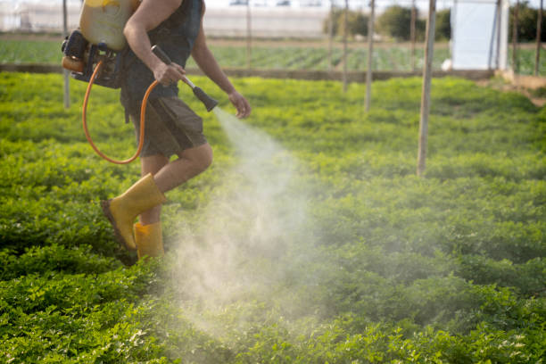 Lago Vista, TX Pest Control Company