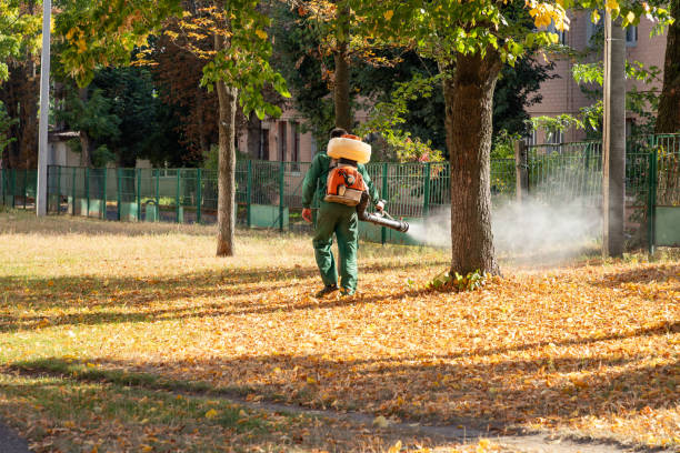 Best Affordable Pest Control Services  in Lago Vista, TX