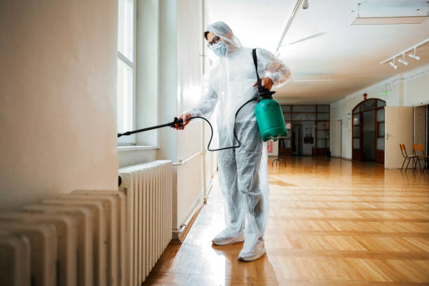 Best Wasp Removal Services  in Lago Vista, TX