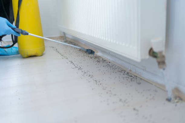 Wildlife Control Services in Lago Vista, TX
