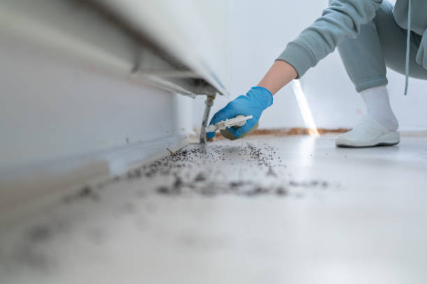 Pest Control for Restaurants in Lago Vista, TX